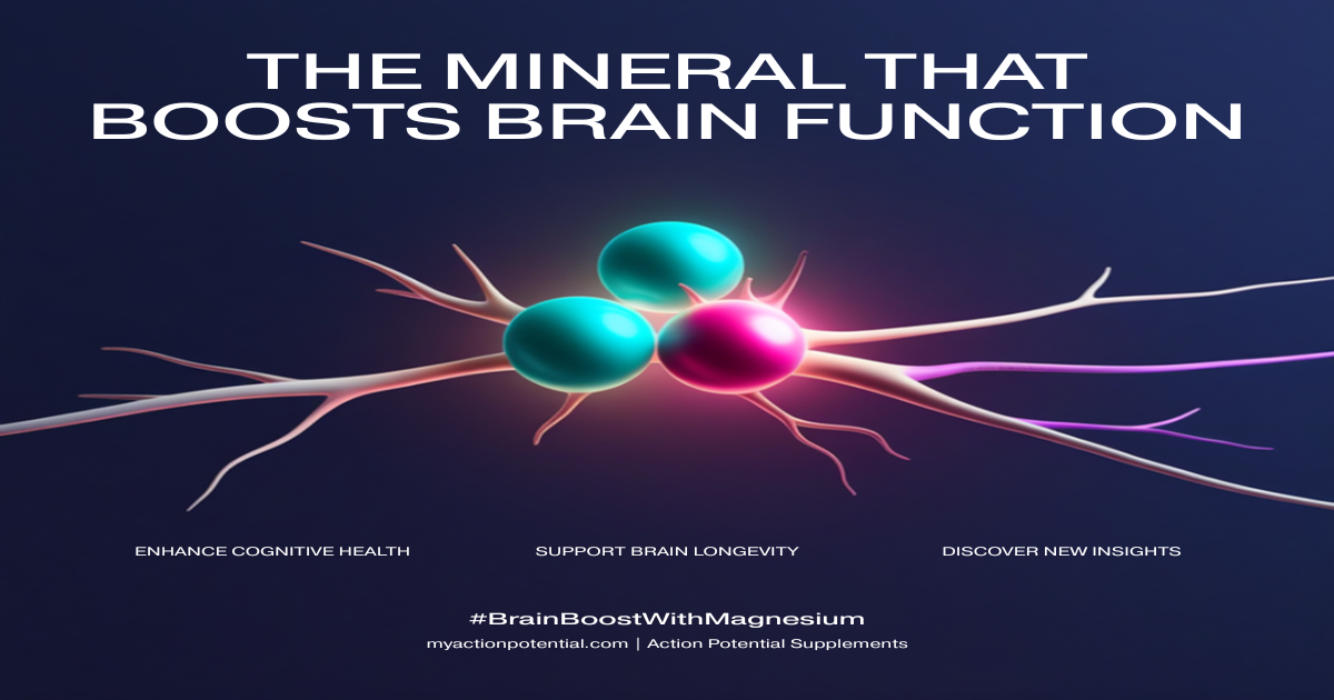 The mineral that helped brains function 7 years younger