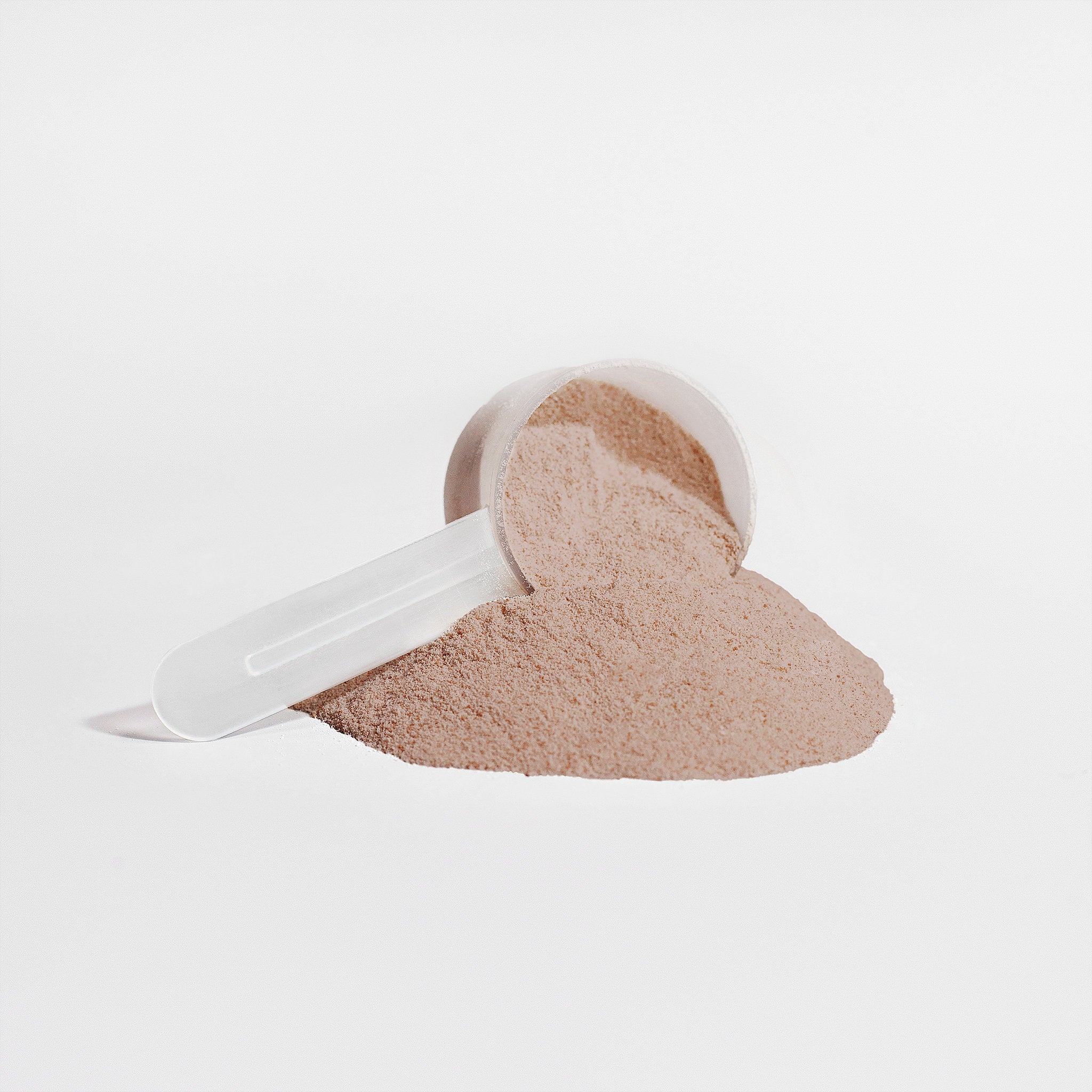 Plant Protein (Chocolate) - Product image 5