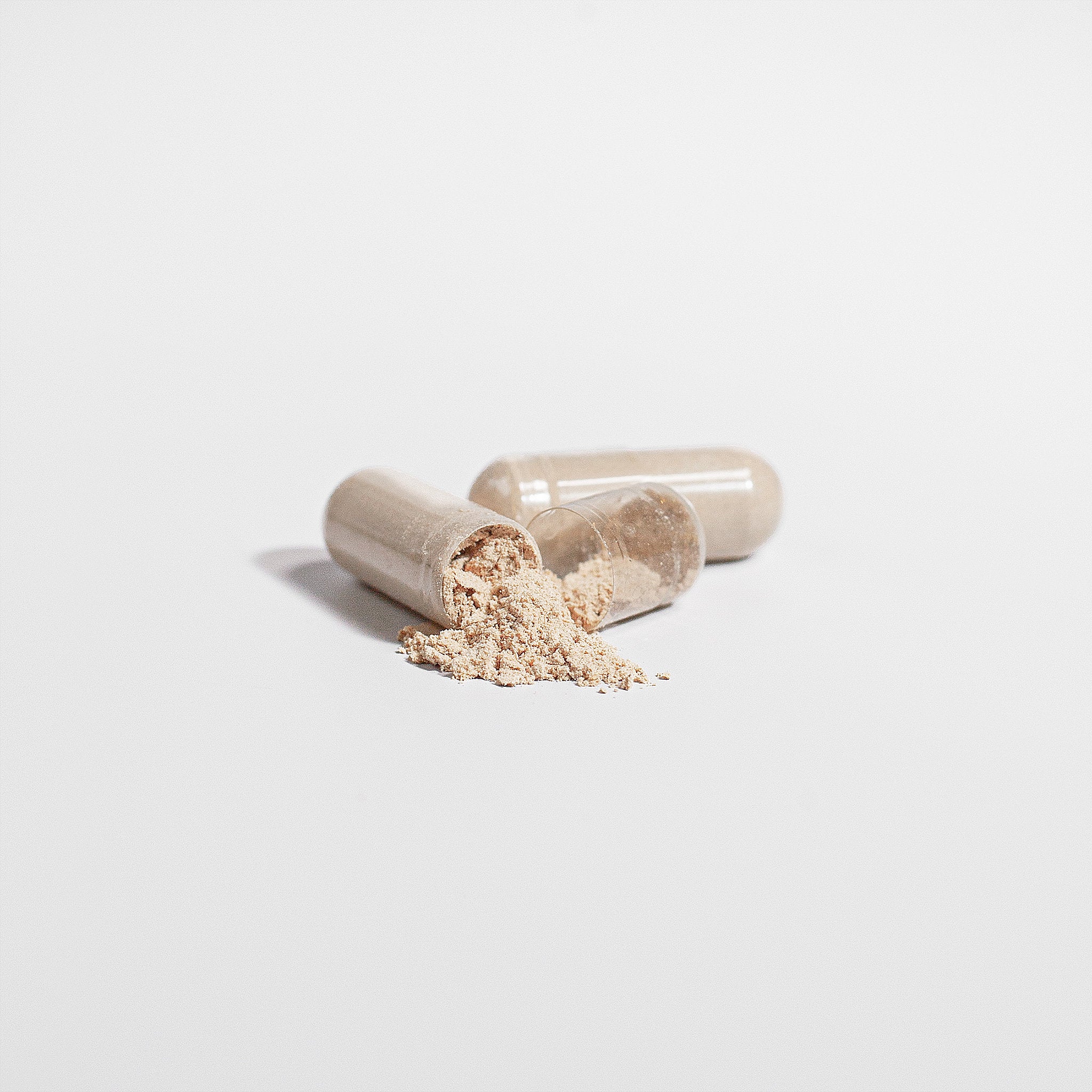 Lion's Mane Mushroom - Product image 5