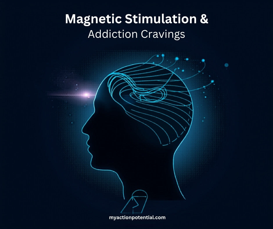 AI-assisted illustration: Transcranial magnetic stimulation TMS electromagnetic field lines around a human head profile in blue on dark background, Action Potential Supplements