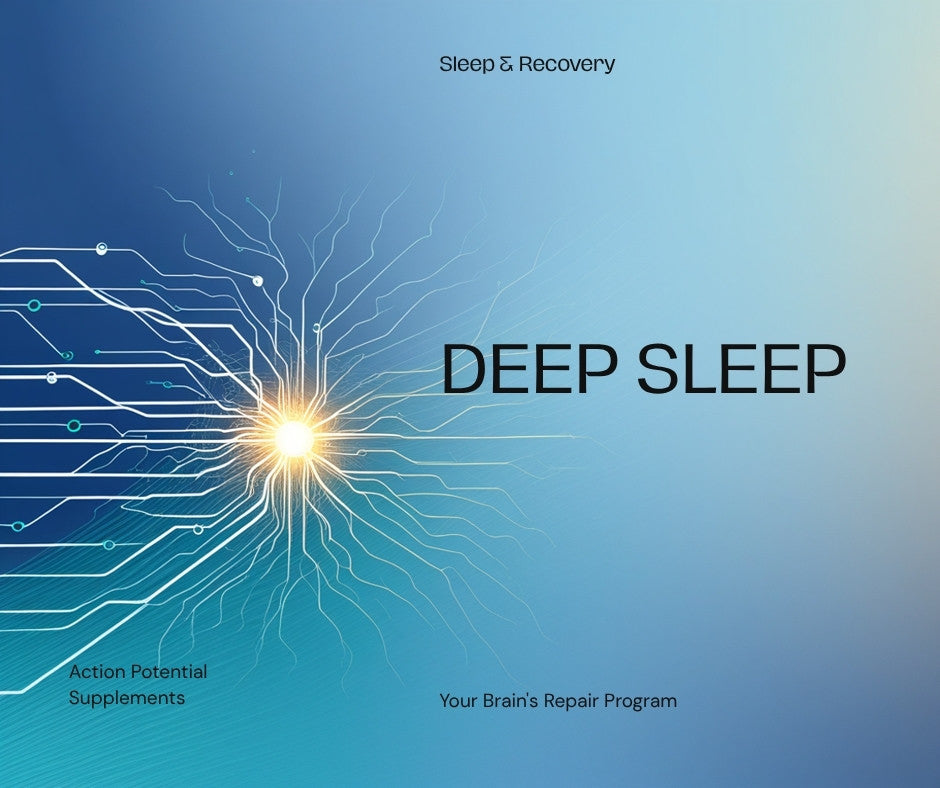 Deep sleep isn’t rest — it’s when your brain runs its repair program (2026)