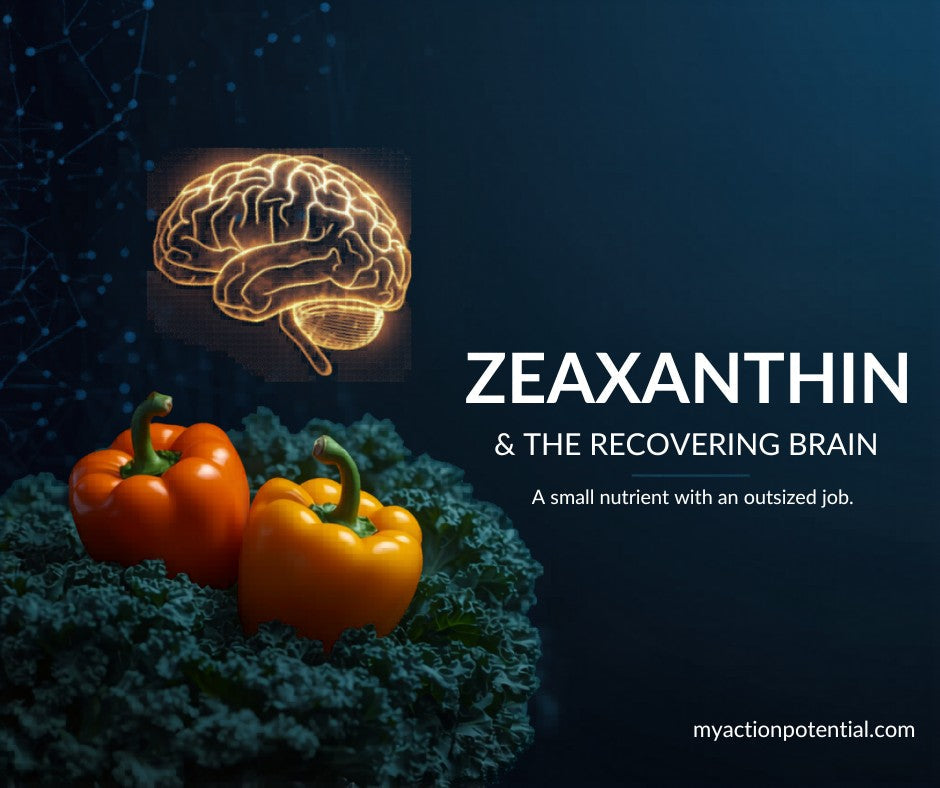 AI-assisted illustration: Zeaxanthin and the recovering brain — orange peppers, kale, and a glowing brain illustration